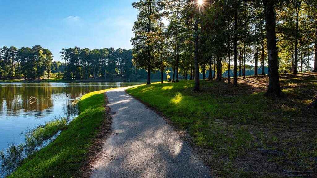 Walking for beginners on a quiet tree-lined path through a green park